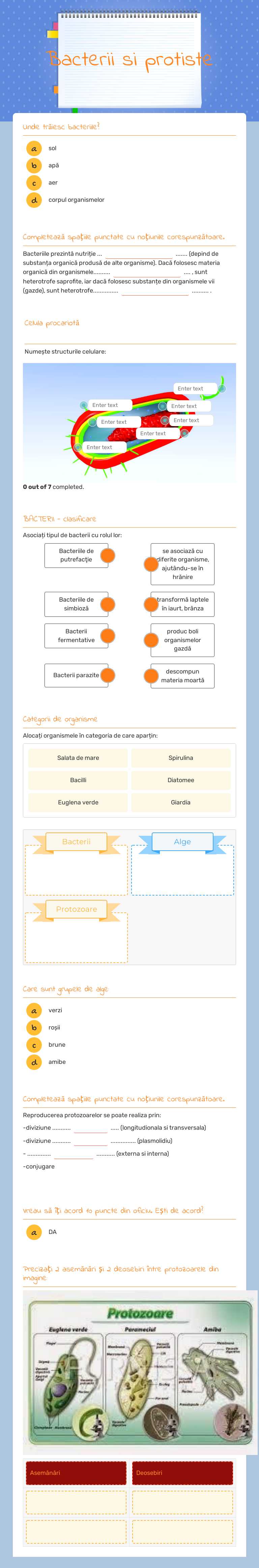 Bacterii si protiste worksheet preview image