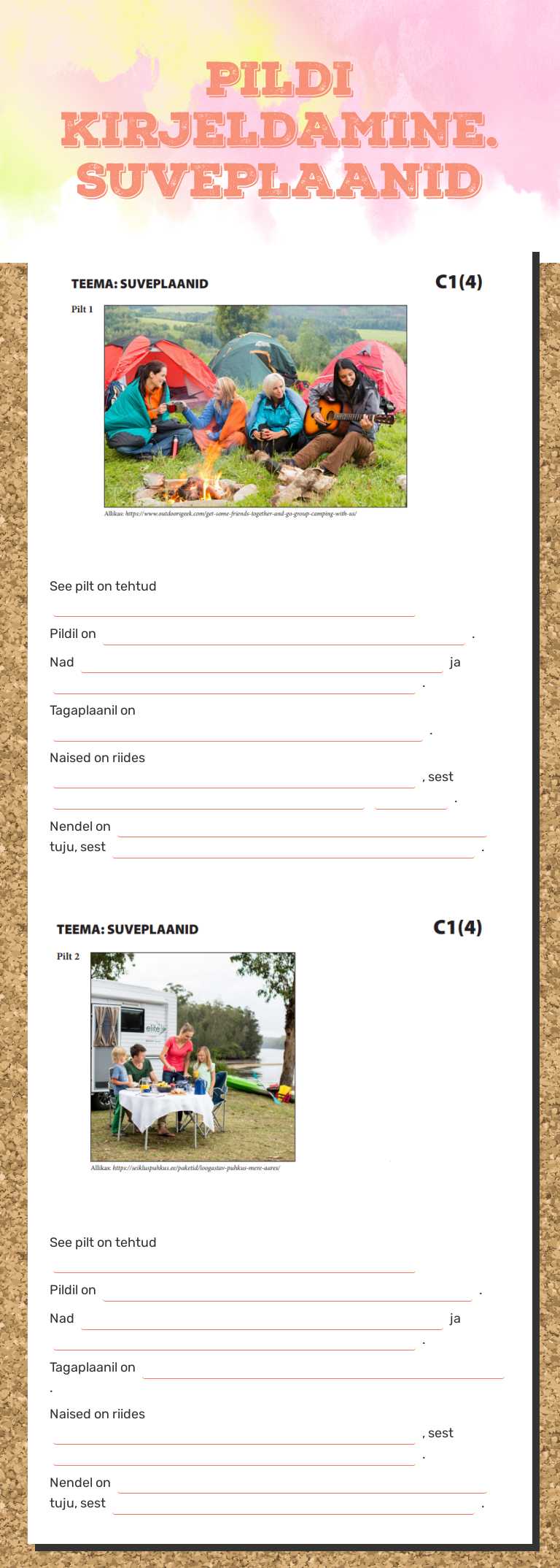 PILDI KIRJELDAMINE. SUVEPLAANID worksheet preview image