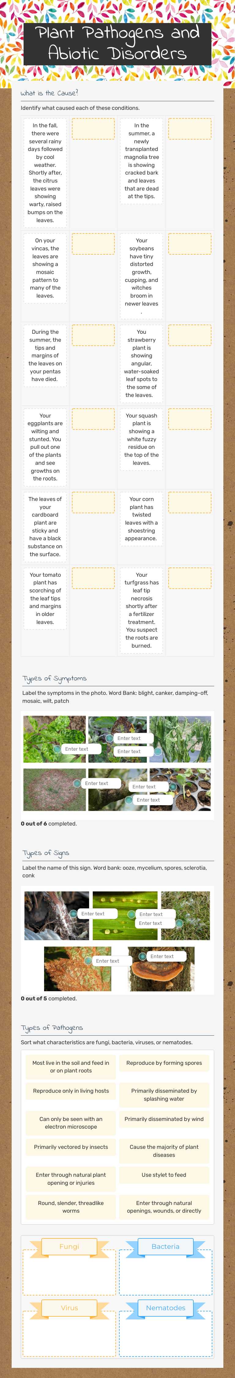 Plant Pathogens and Abiotic Disorders worksheet preview image