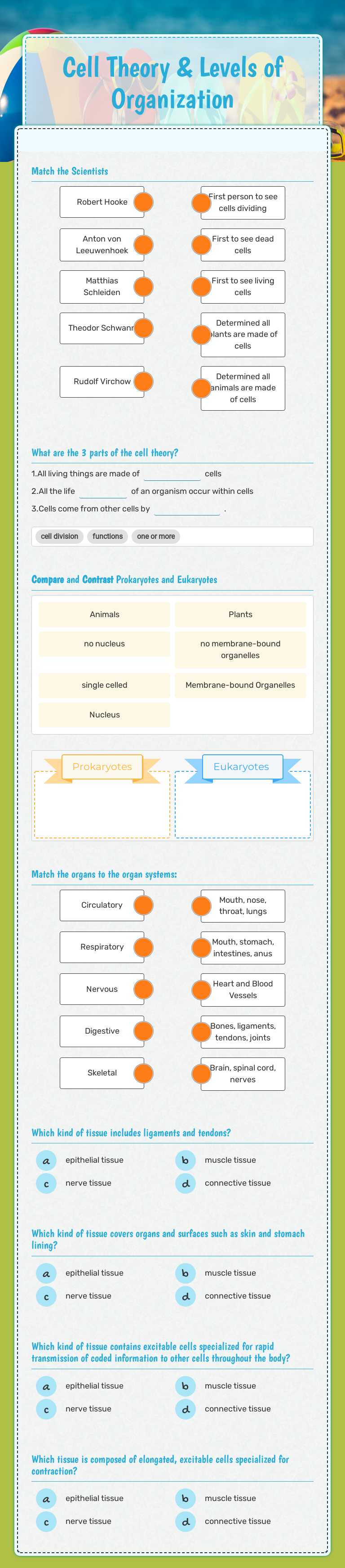 Cell Theory & Levels of Organization worksheet preview image