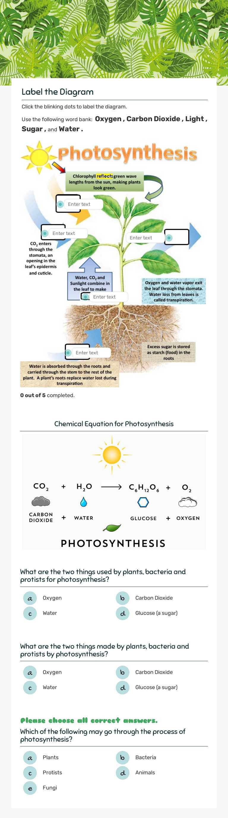 LS 4  PHOTOSYNTHESIS worksheet preview image