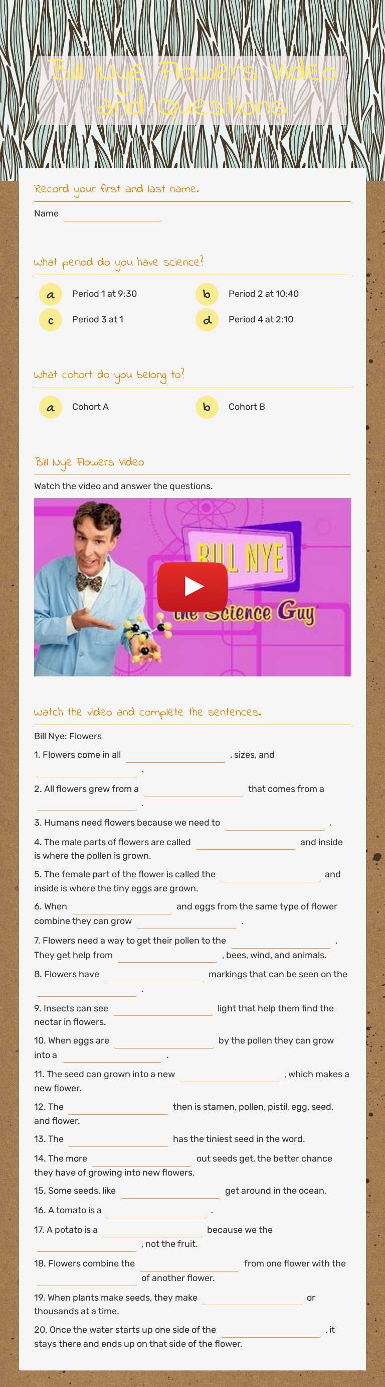 Bill Nye Flowers Video and Questions worksheet preview image