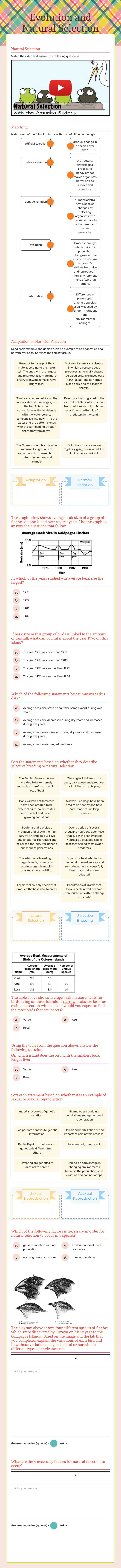Evolution and Natural Selection Grade 9 worksheet preview