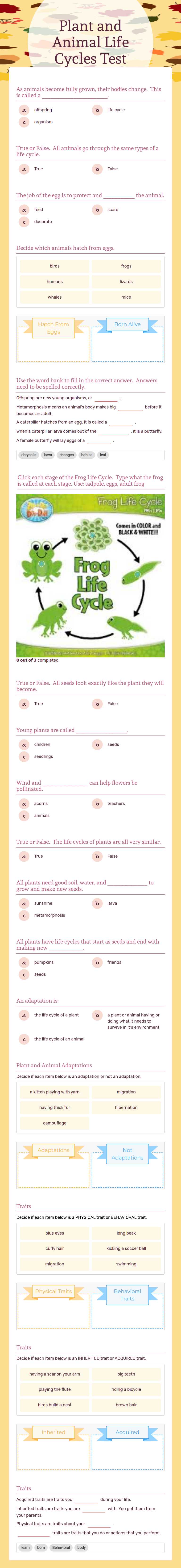Plant and Animal Life Cycles Test Grade 3 worksheet preview