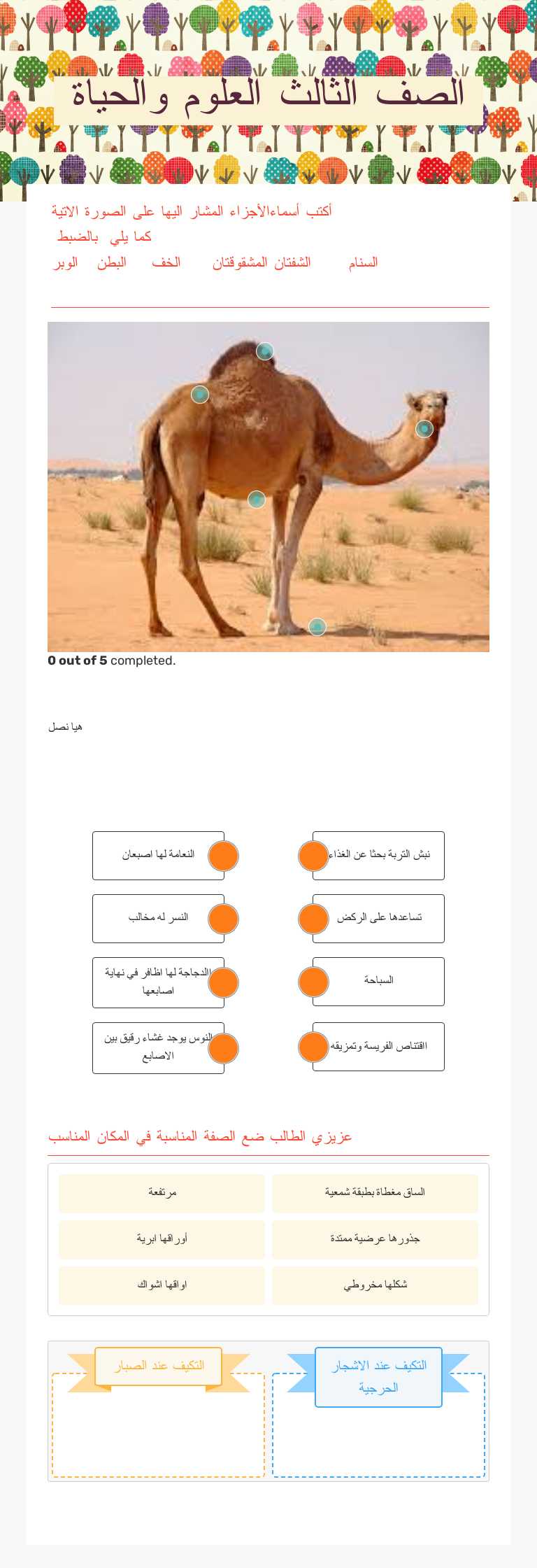 الصف الثالث العلوم والحياة worksheet preview image