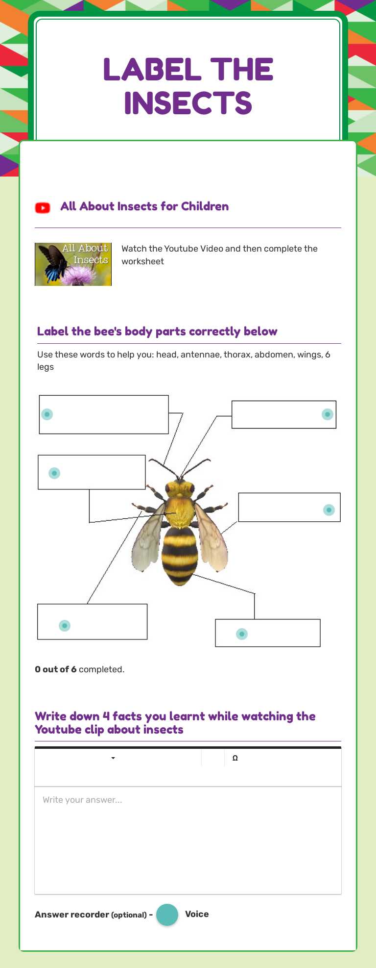 Label the insects worksheet preview image