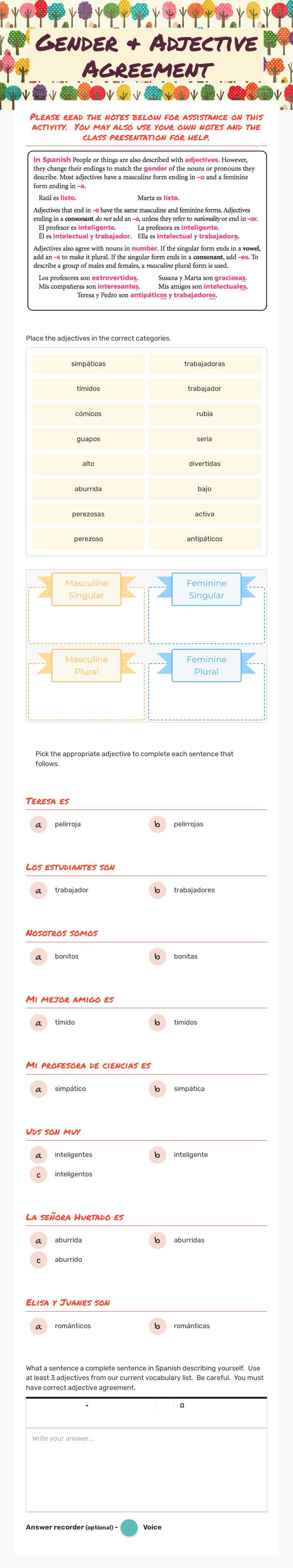 Gender & Adjective Agreement worksheet preview image