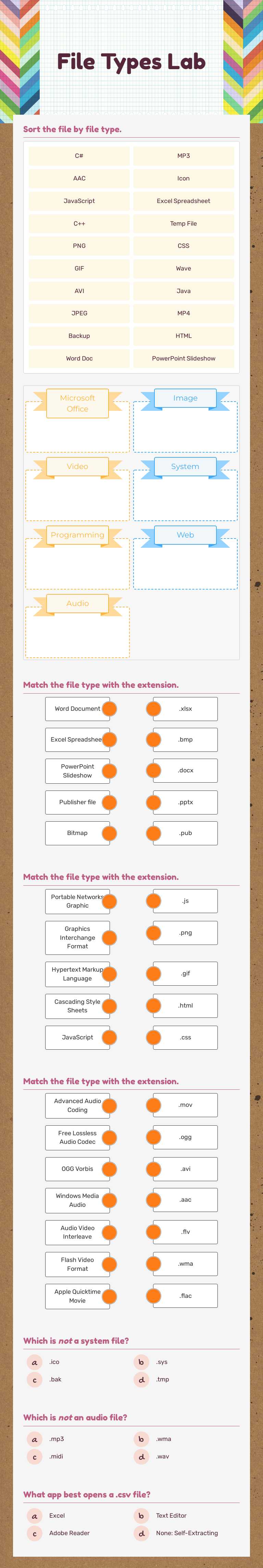 File Types Lab worksheet preview image