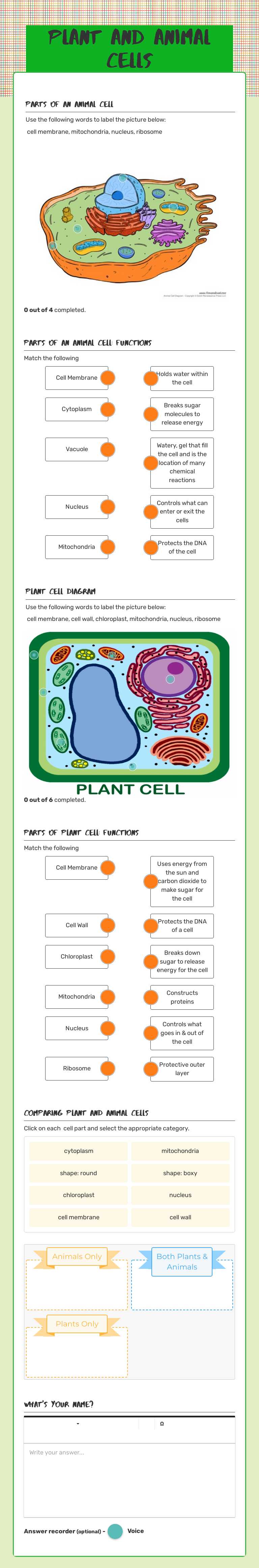 Plant and Animal Cells Grade 10 worksheet preview