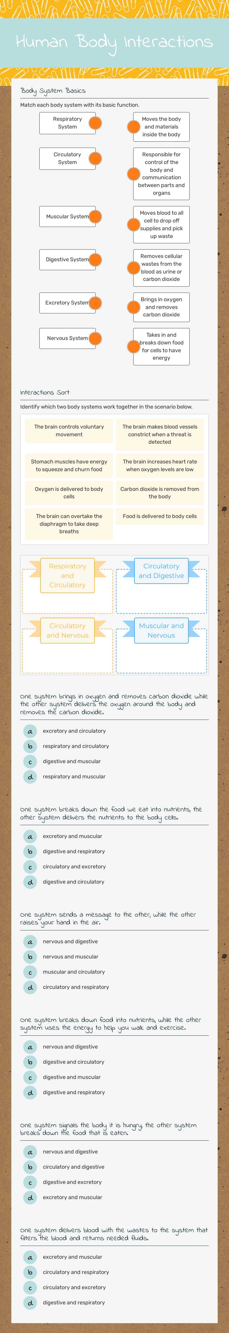 Human Body Interactions worksheet preview image