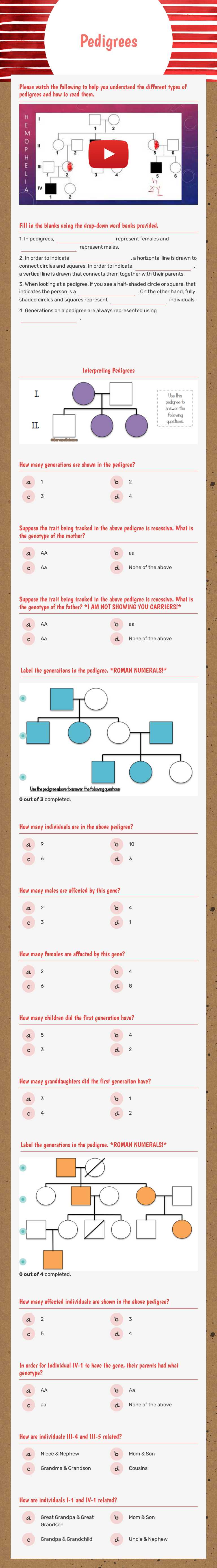 Pedigrees worksheet preview image