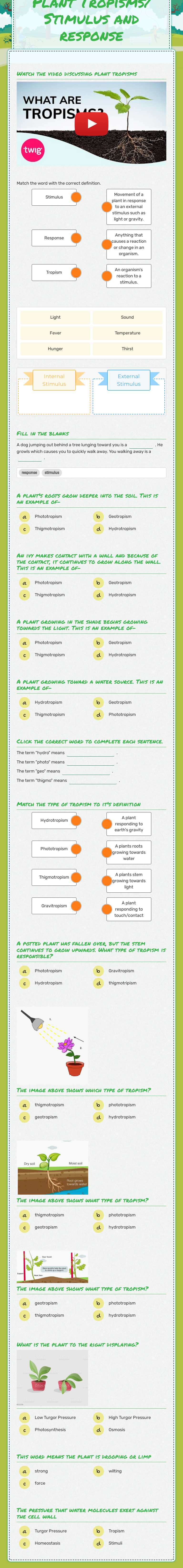 Plant Tropisms/       Stimulus and response worksheet preview image