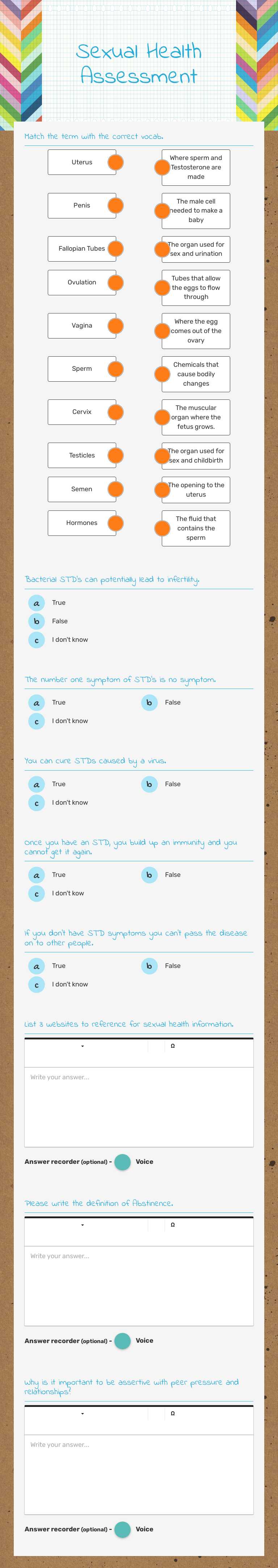 Sexual Health Assessment worksheet preview image
