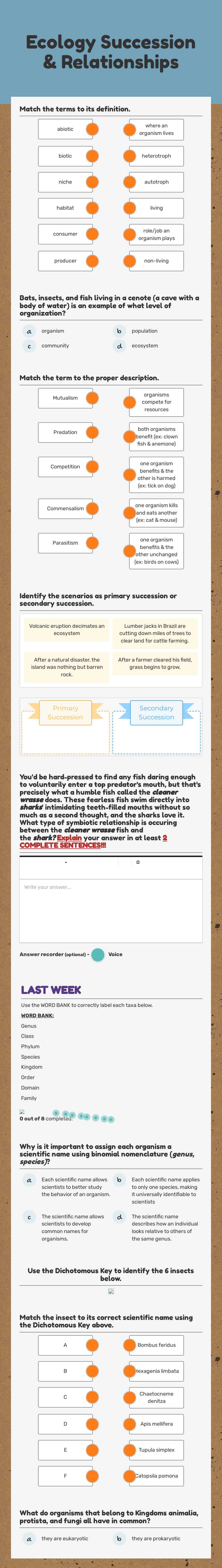 Ecology Succession & Relationships worksheet preview image