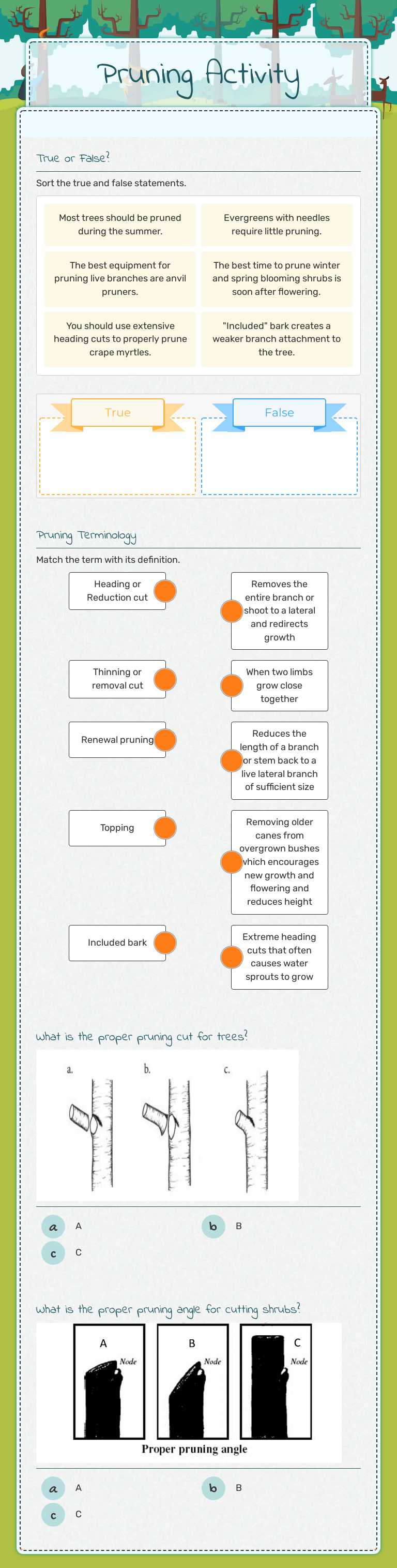 Pruning Activity worksheet preview image