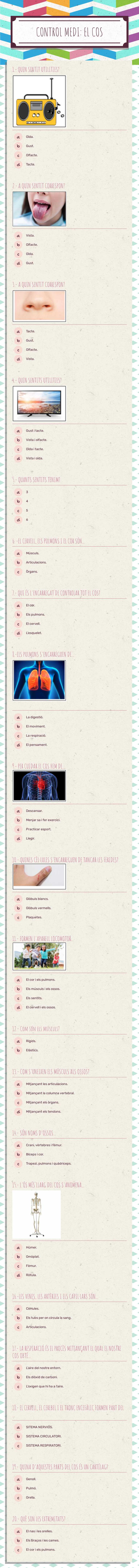 CONTROL MEDI: EL COS Grade 2 worksheet preview