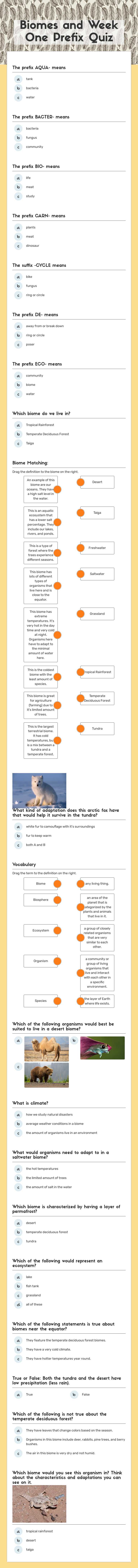 Biomes and Week One Prefix Quiz worksheet preview image