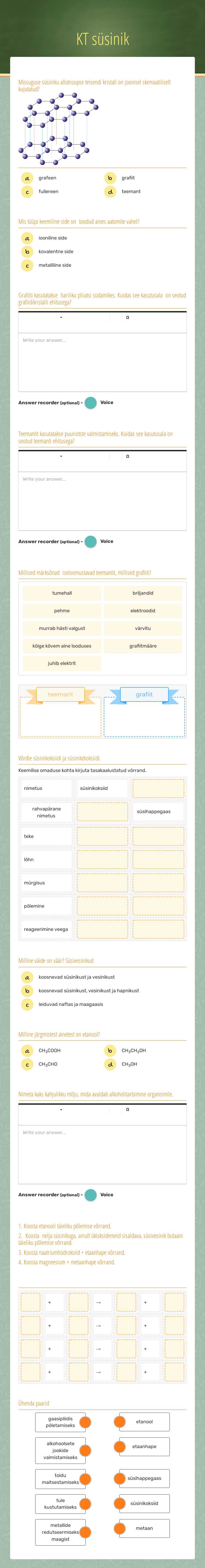 KT süsinik worksheet preview image