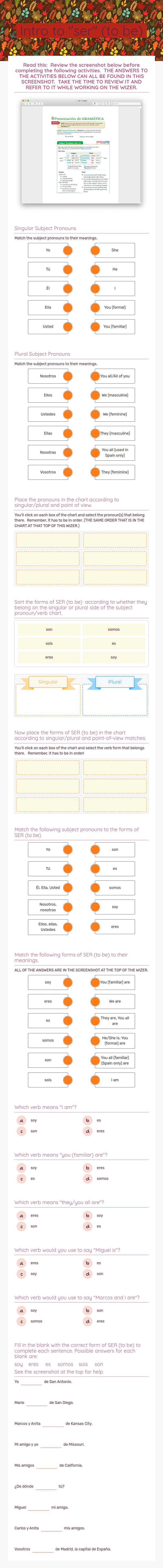 Intro to "ser" (to be) worksheet preview image