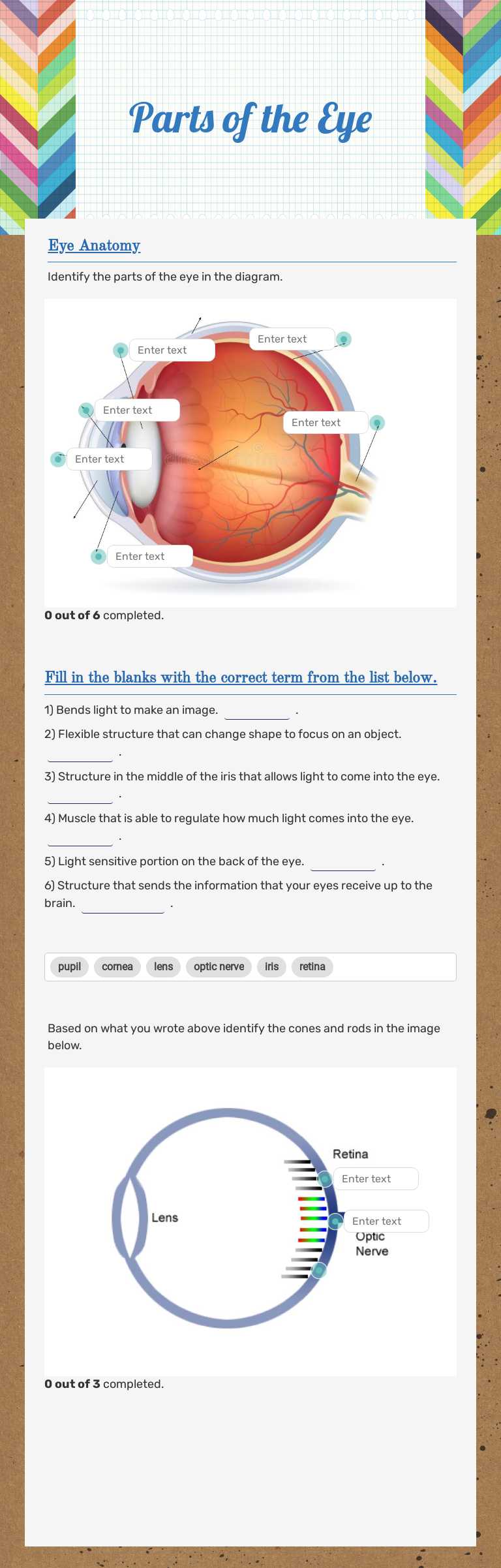 Parts of the Eye worksheet preview image