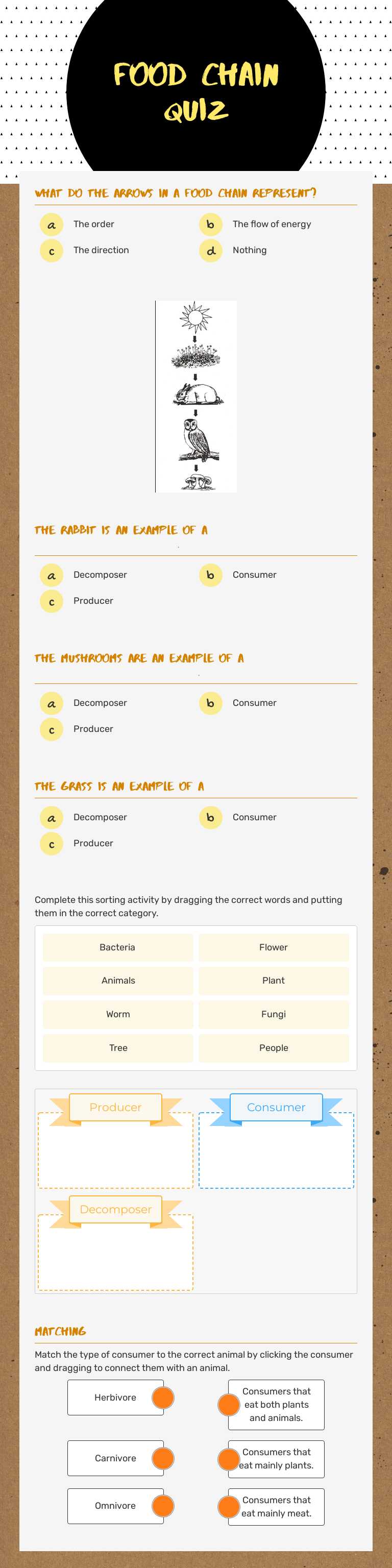 Food Chain Quiz Grade 3 worksheet preview