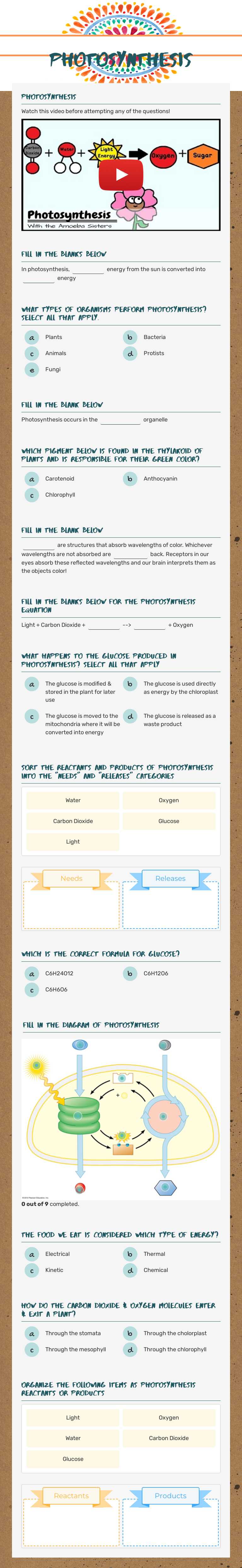 Photosynthesis Grade 10 worksheet preview