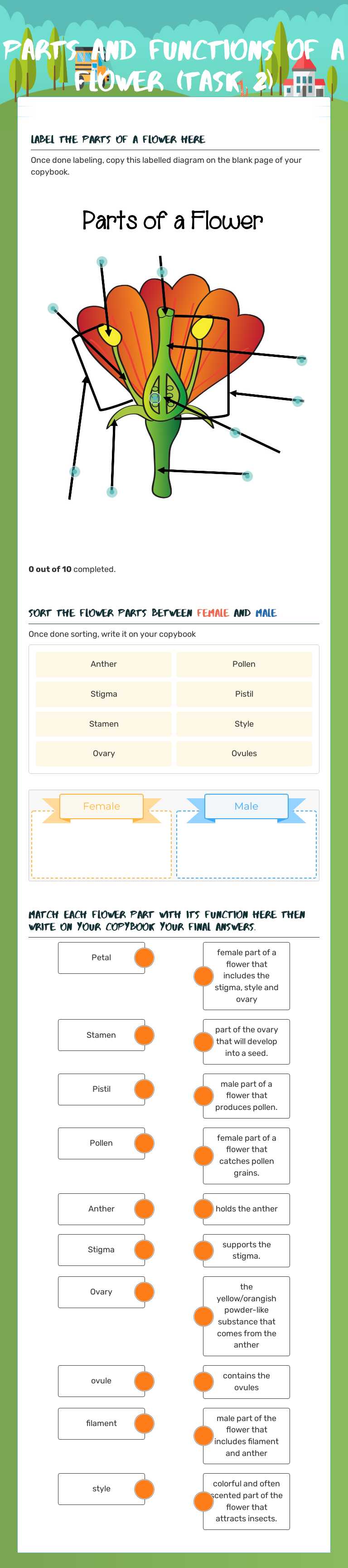 Parts and functions of a Flower (Task 2) worksheet preview image