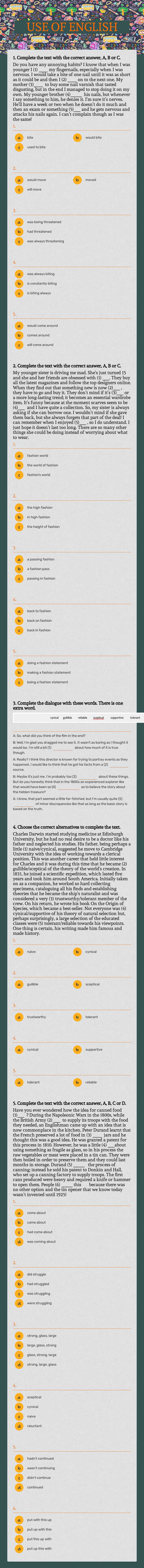 USE OF ENGLISH Grade 11 worksheet preview