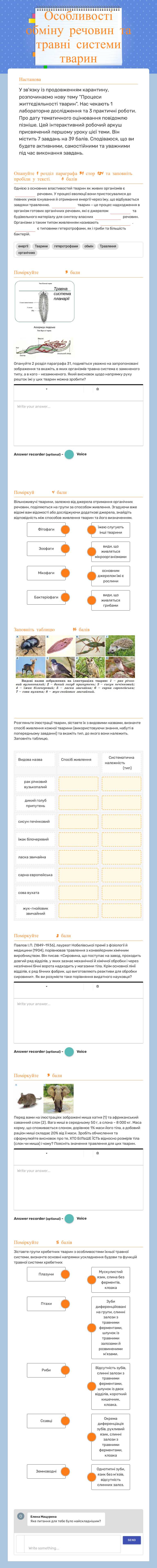 Особливості обміну речовин та травні системи тварин worksheet preview image