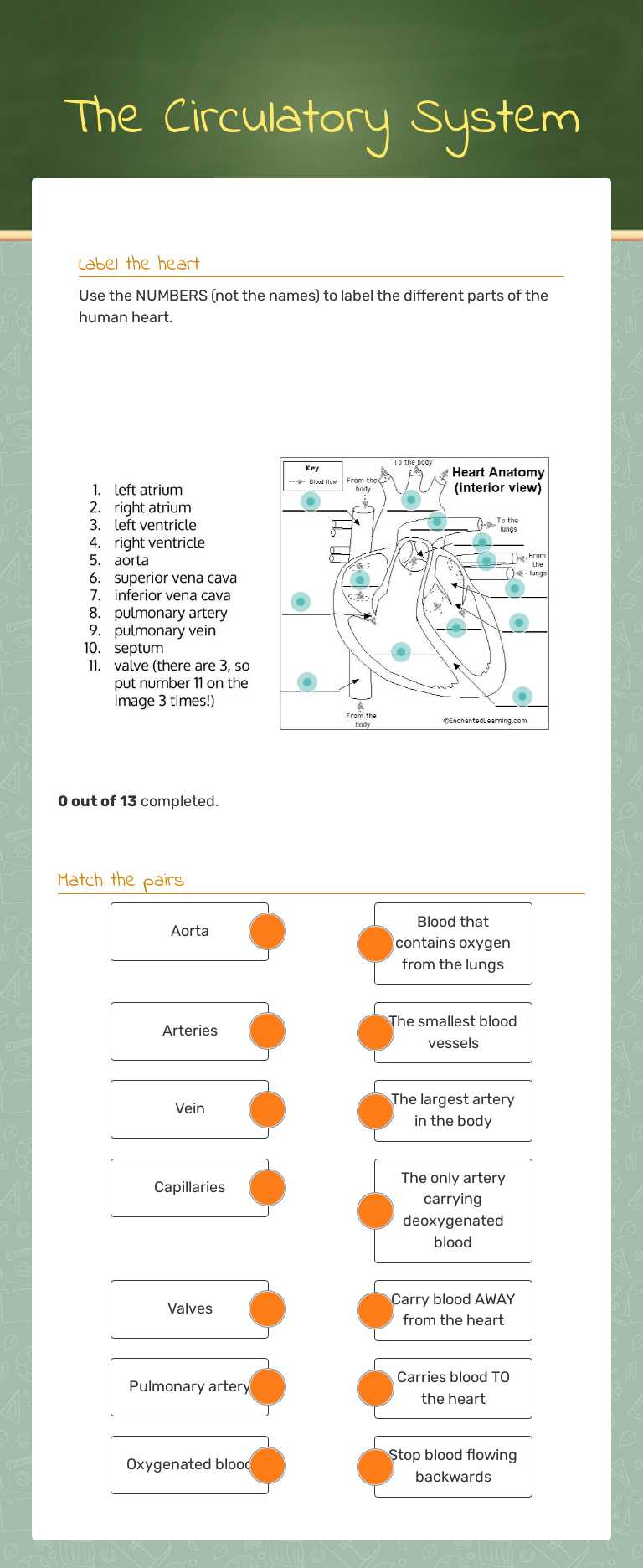 The Circulatory System worksheet preview image