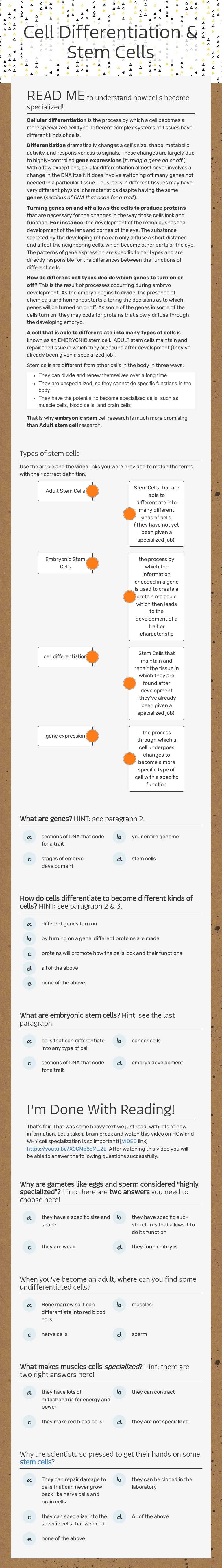 Cell Differentiation & Stem Cells worksheet preview image