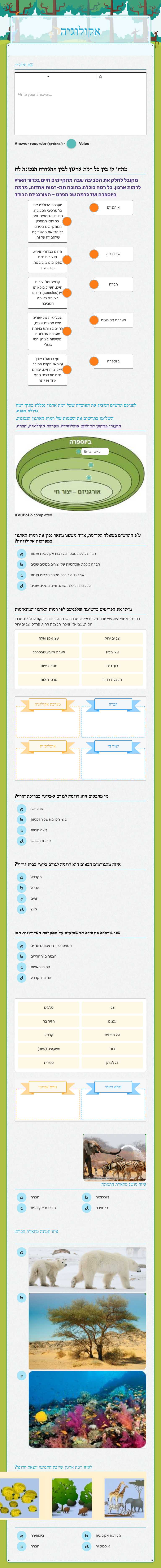 אקולוגיה worksheet preview image