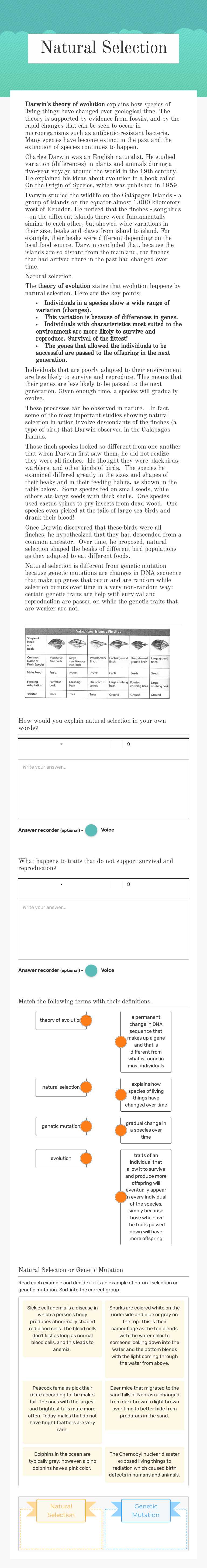 Natural Selection worksheet preview image