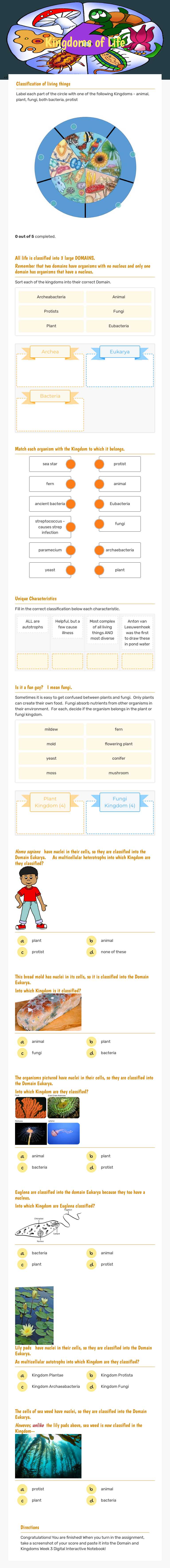 Kingdoms of Life worksheet preview image