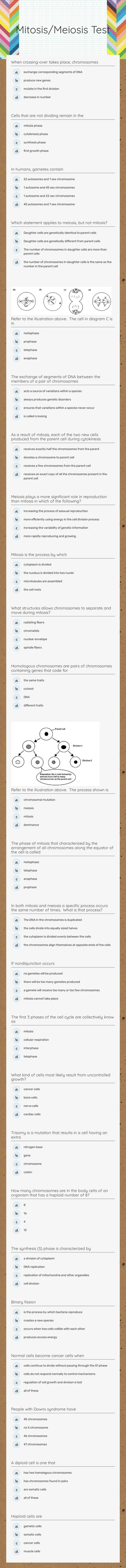 Mitosis/Meiosis Test worksheet preview image
