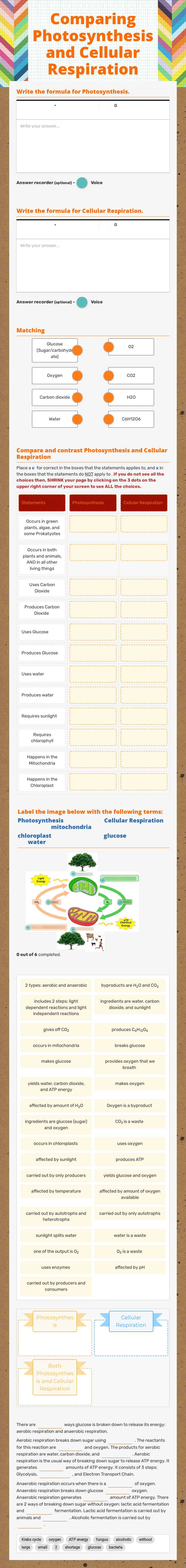 Comparing Photosynthesis and Cellular Respiration worksheet preview image