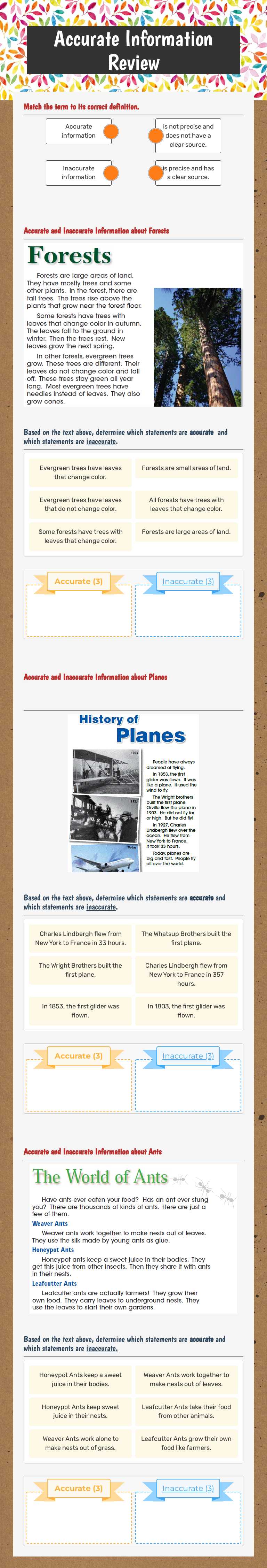 Accurate Information Review worksheet preview image