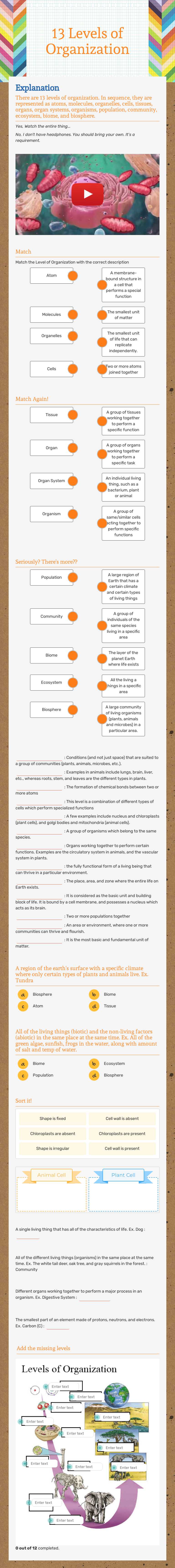 13 Levels of Organization worksheet preview image