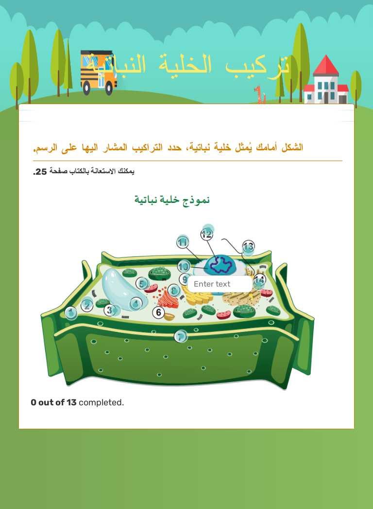 تركيب الخلية النباتية worksheet preview