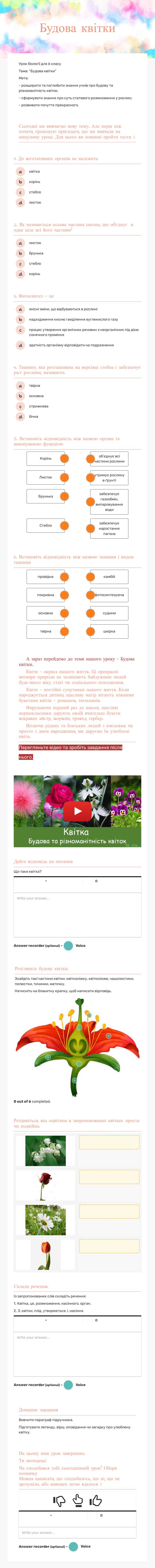 Будова квітки worksheet preview image