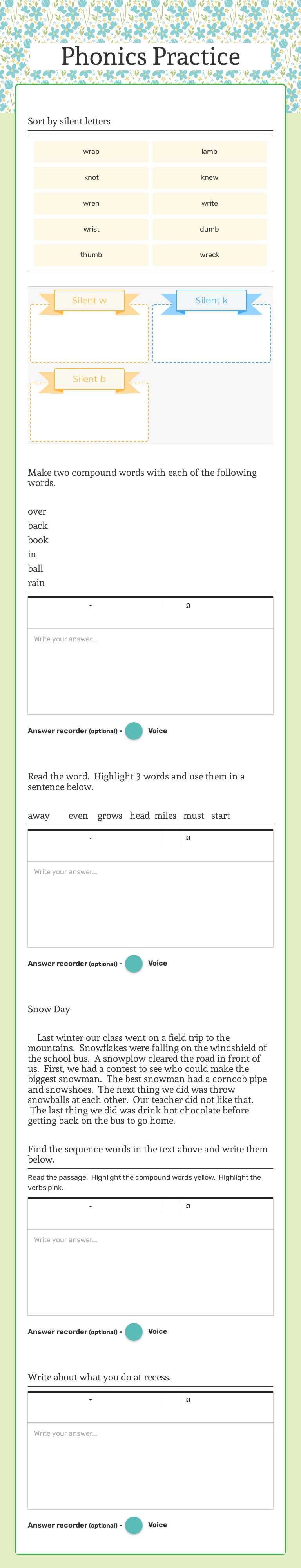 Phonics Practice worksheet preview image