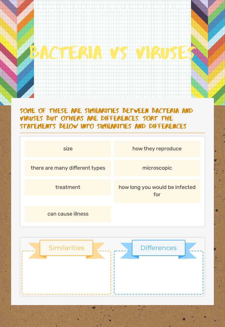 Bacteria vs viruses Grade 6 worksheet preview