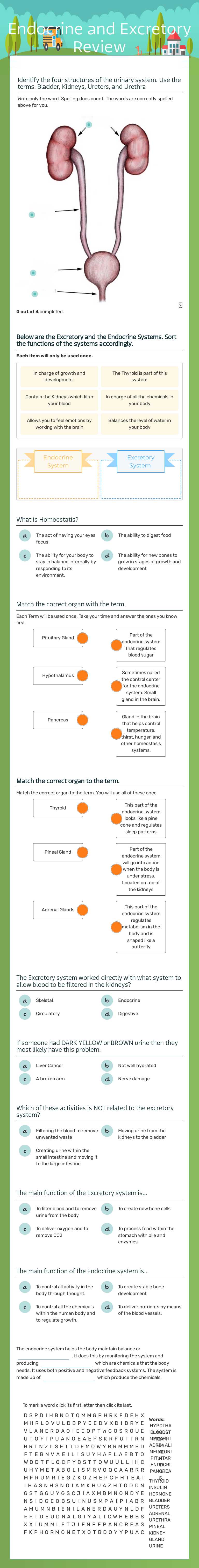 Endocrine and Excretory Review worksheet preview image