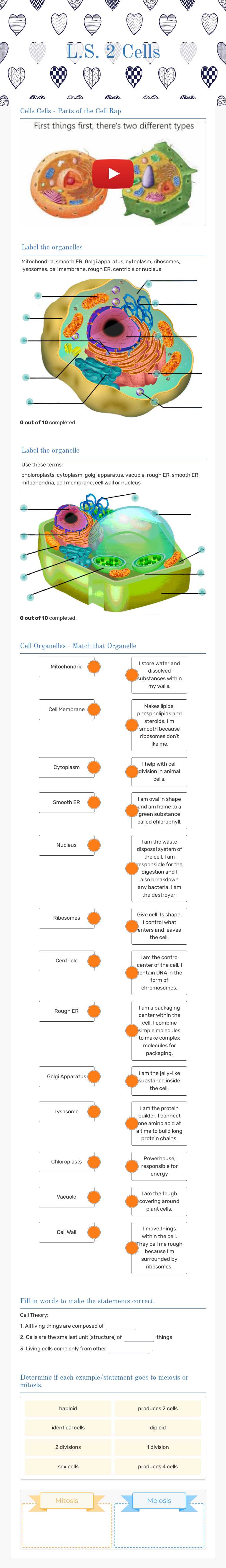L.S. 2 Cells worksheet preview image
