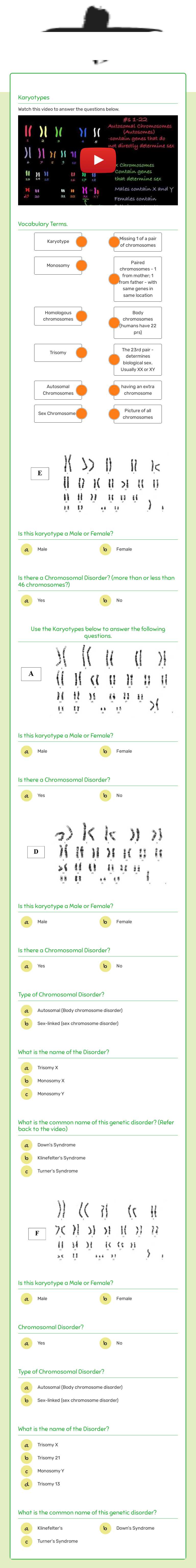 Karyotype Practice worksheet preview image