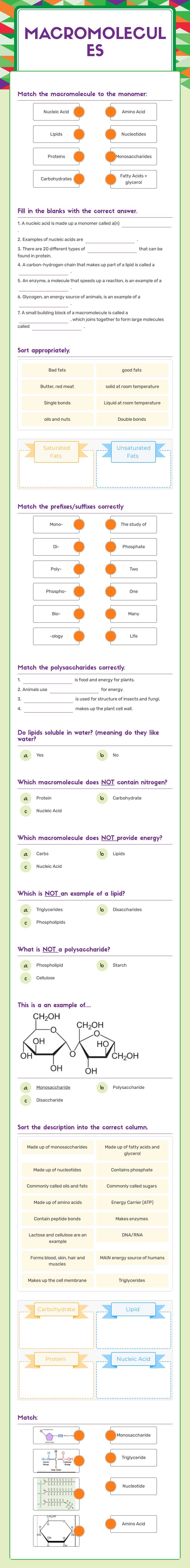 Macromolecules worksheet preview image
