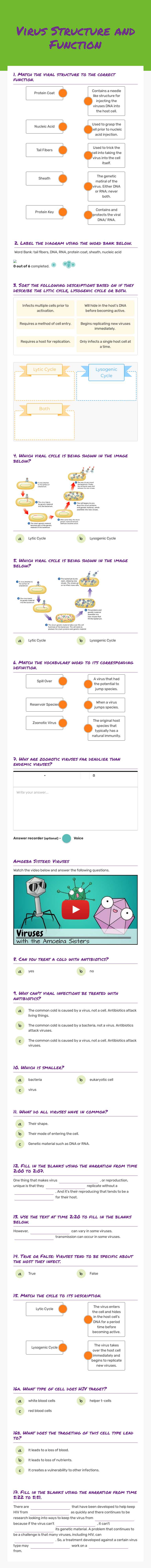 Virus Structure and Function worksheet preview image