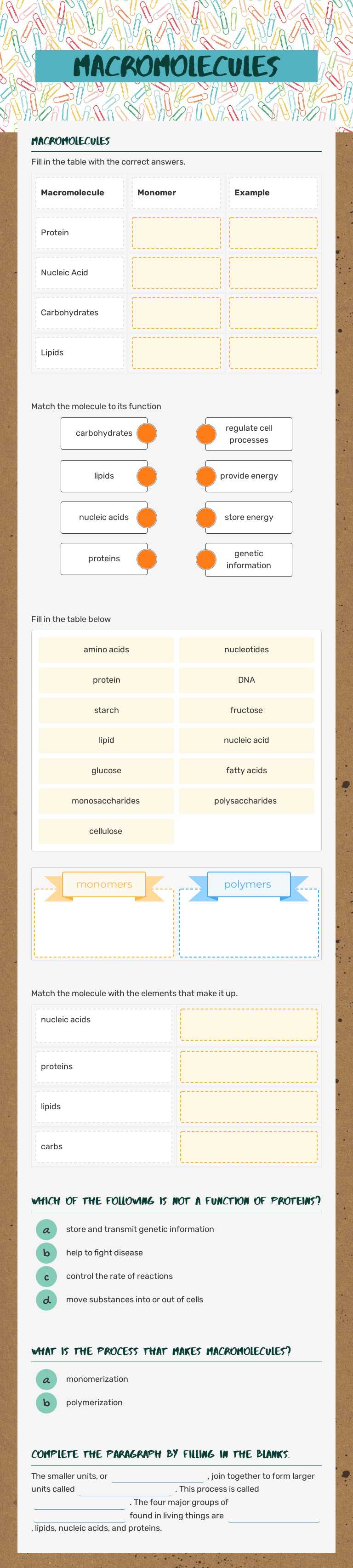 Macromolecules worksheet preview image
