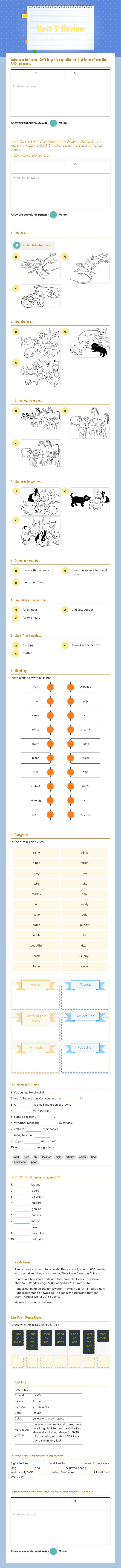 Unit 3 Review worksheet preview image