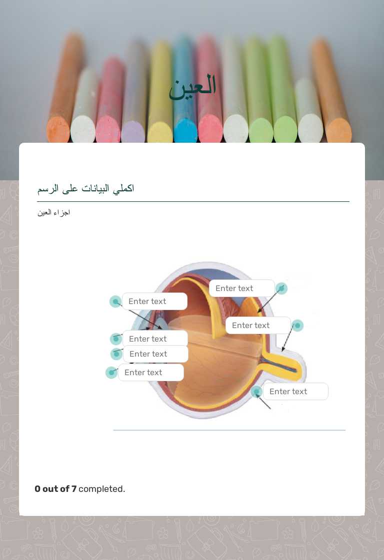 العين worksheet preview image